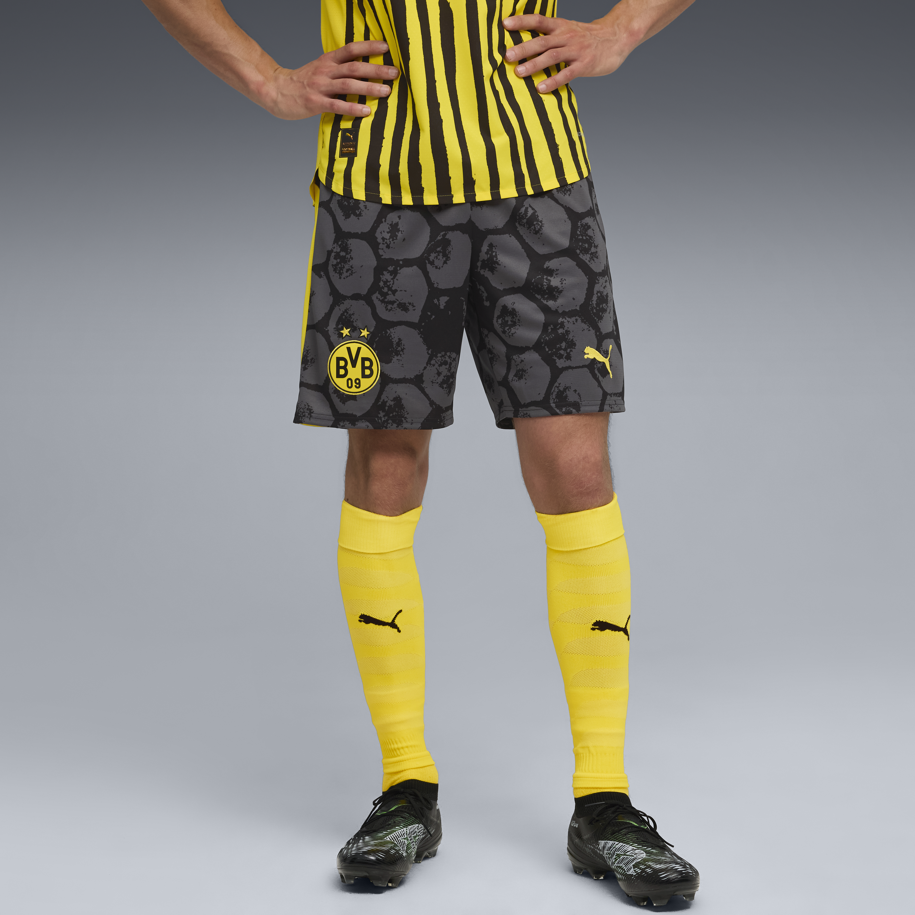 BVB Dortmund SHORTS REPLICA [PUMA Black/Faster Yellow]